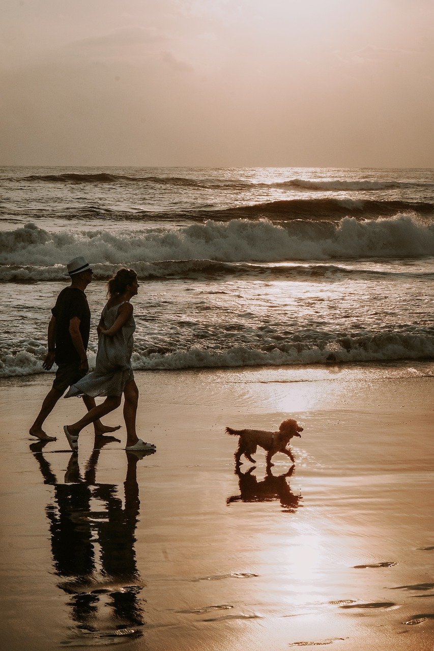 Genuine connection. Slow Dating. Couple walking the dog on the beach